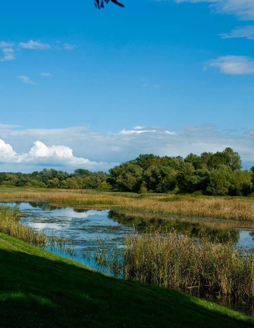 Visit Koprivničko-križevačka županija | Čambina